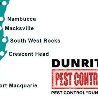 Dunrite Pest Control post thumbnail