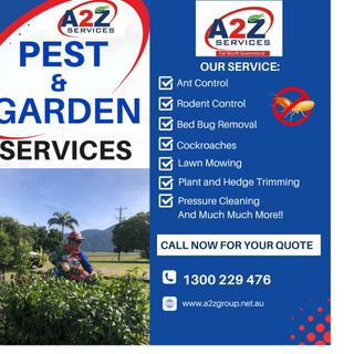 A2Z Services post thumbnail