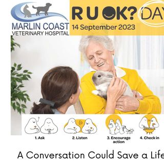 Marlin Coast Veterinary Hospital post thumbnail