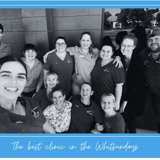 Greater Whitsunday Veterinary Services post thumbnail