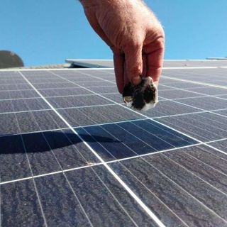 Darwin Solar Panel Cleaning post thumbnail