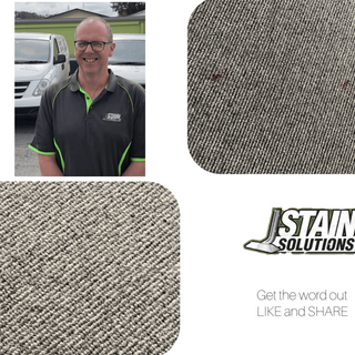 Stain Solutions Carpet Cleaning Gold Coast post thumbnail