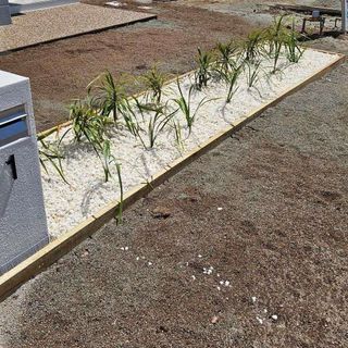 Ben Holden Irrigation Townsville post thumbnail