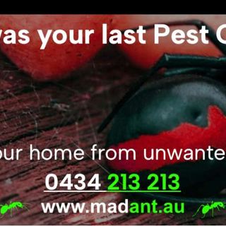 MAD ANT Termite and Pest Control post thumbnail