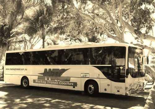 Mackay Transit Coaches image