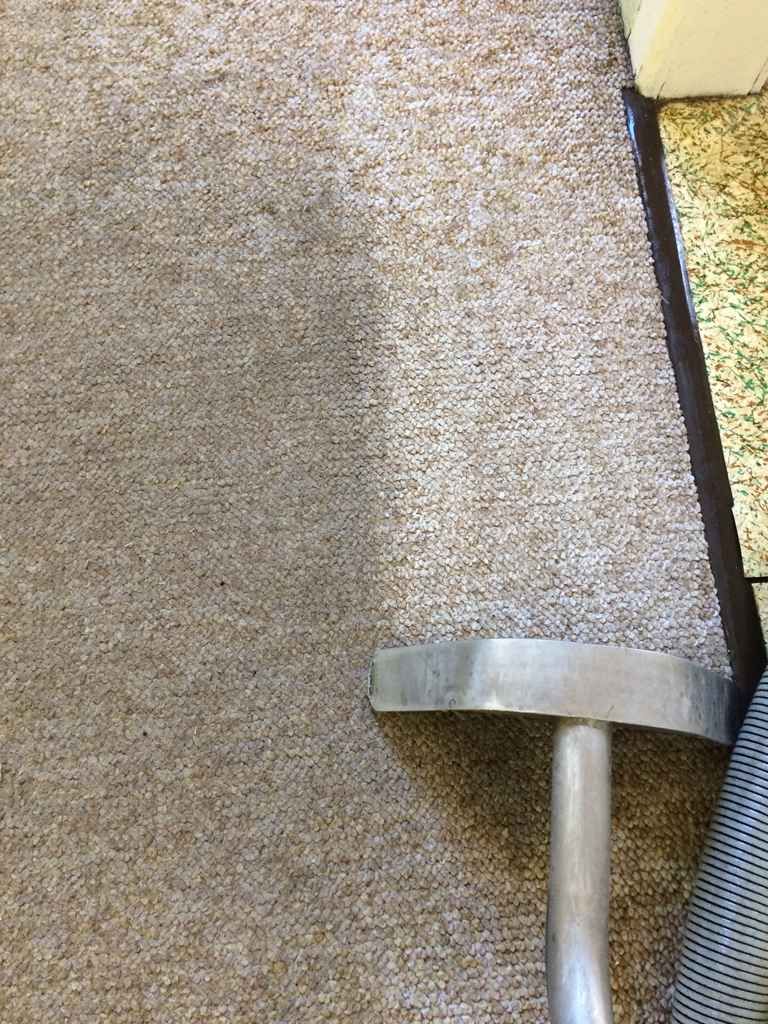 10 BEST Carpet Cleaning in Lismore NSW 2480 | Localsearch