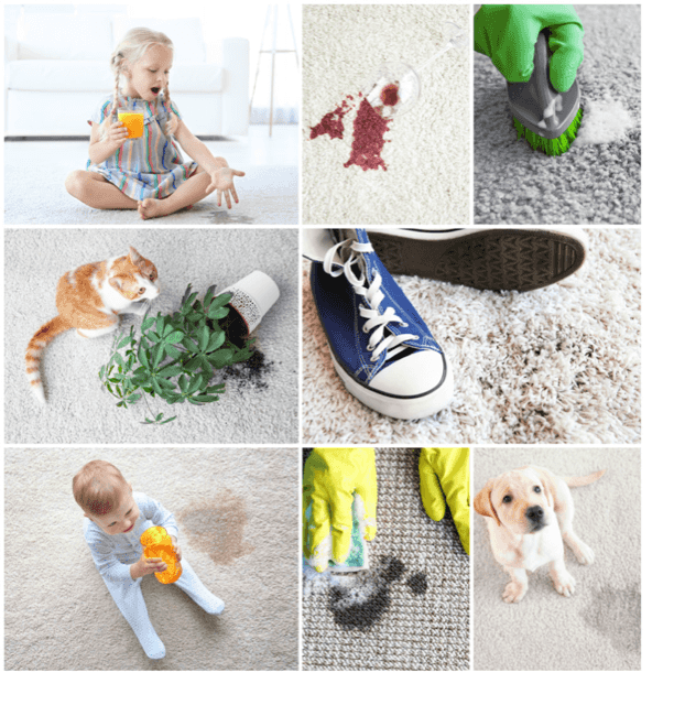 Elite Carpet Dry Cleaning image