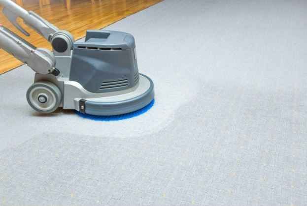 Gava Professional Carpet Cleaning & Pest Control image
