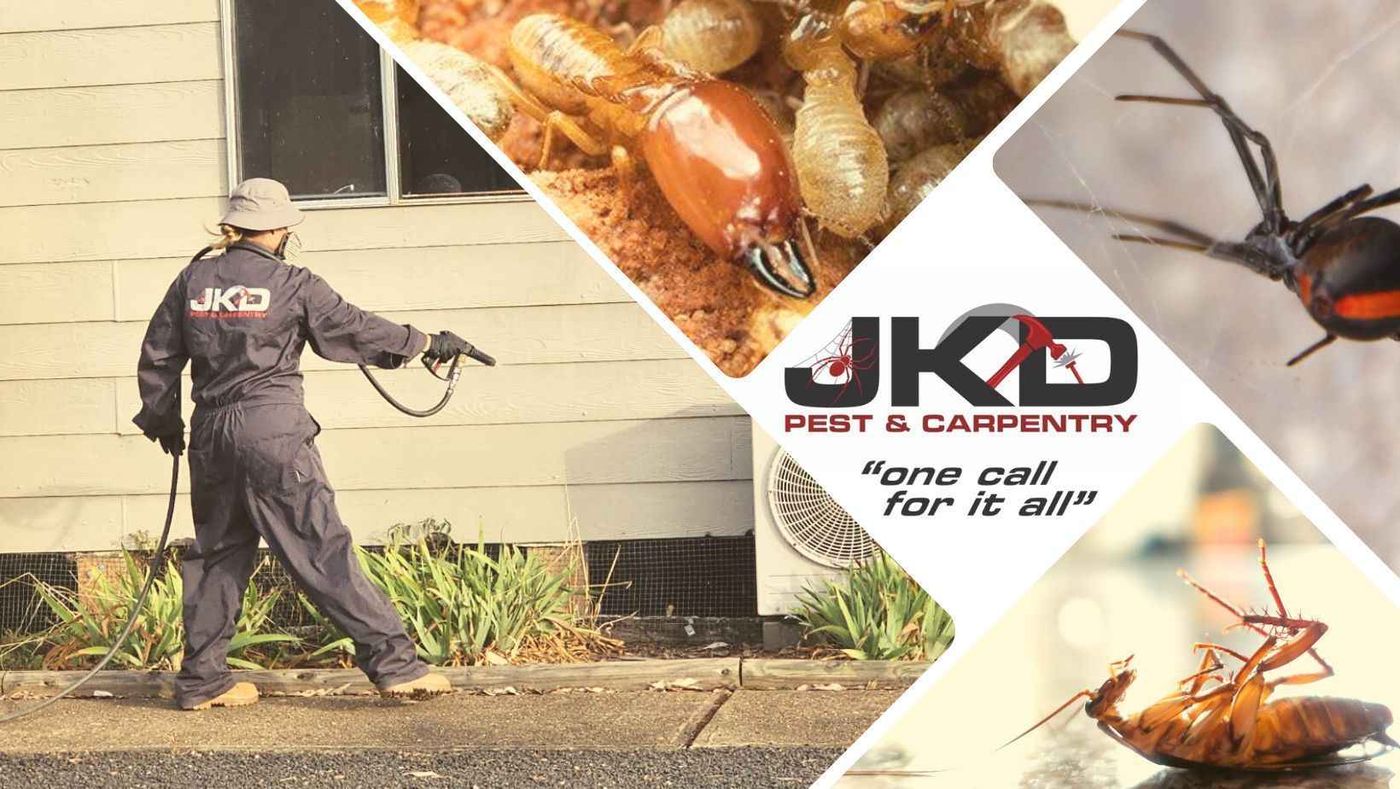 JKD Pest & Carpentry image