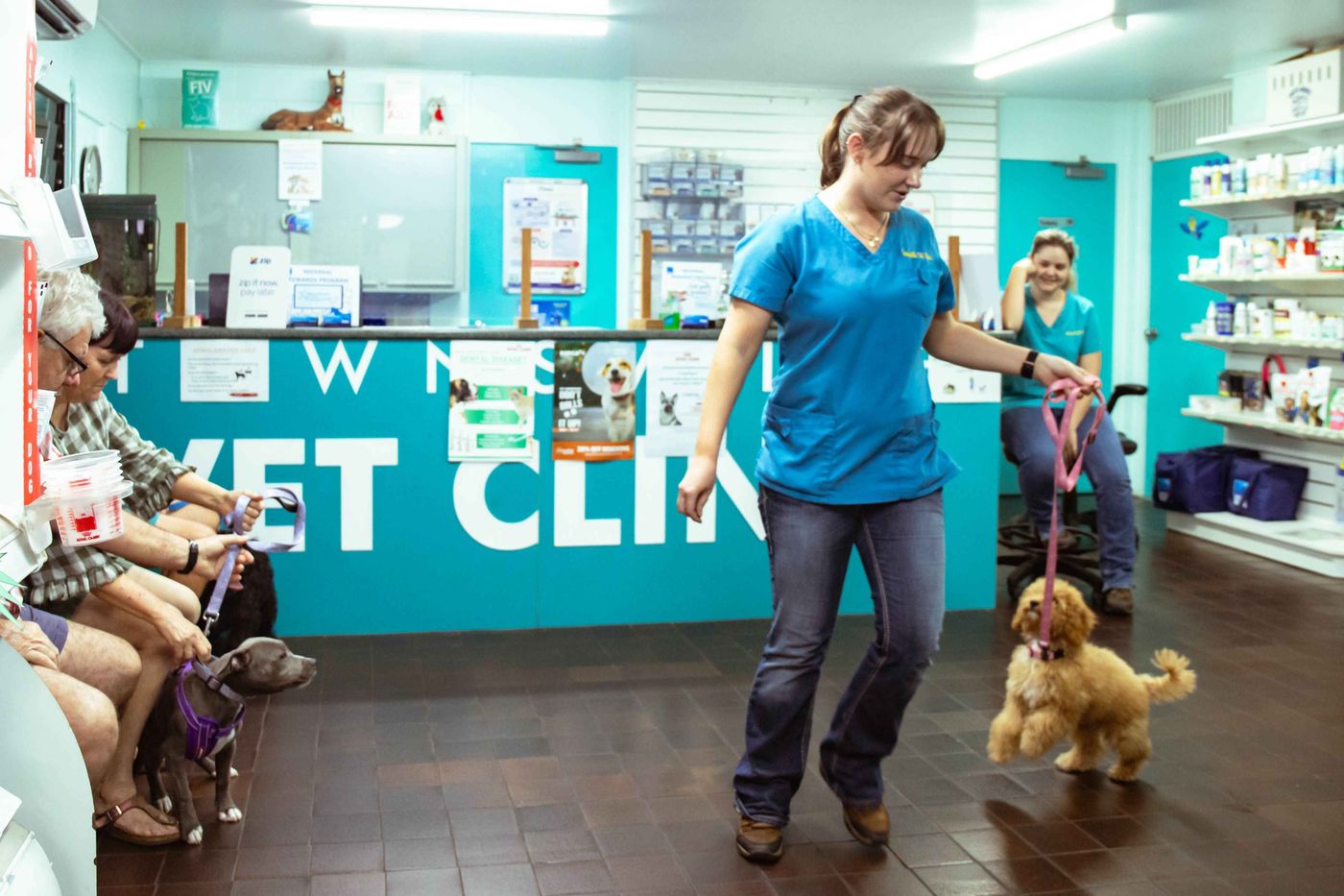 Townsville Veterinary Clinic image
