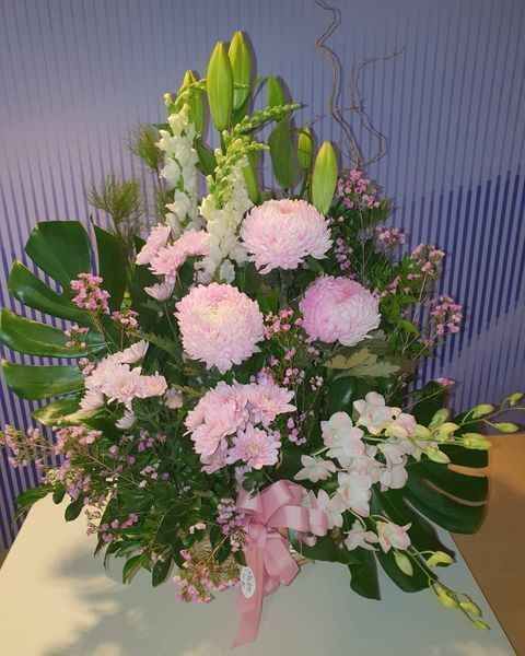 Ivy Lane Flowers & Gifts Hospital Florist image