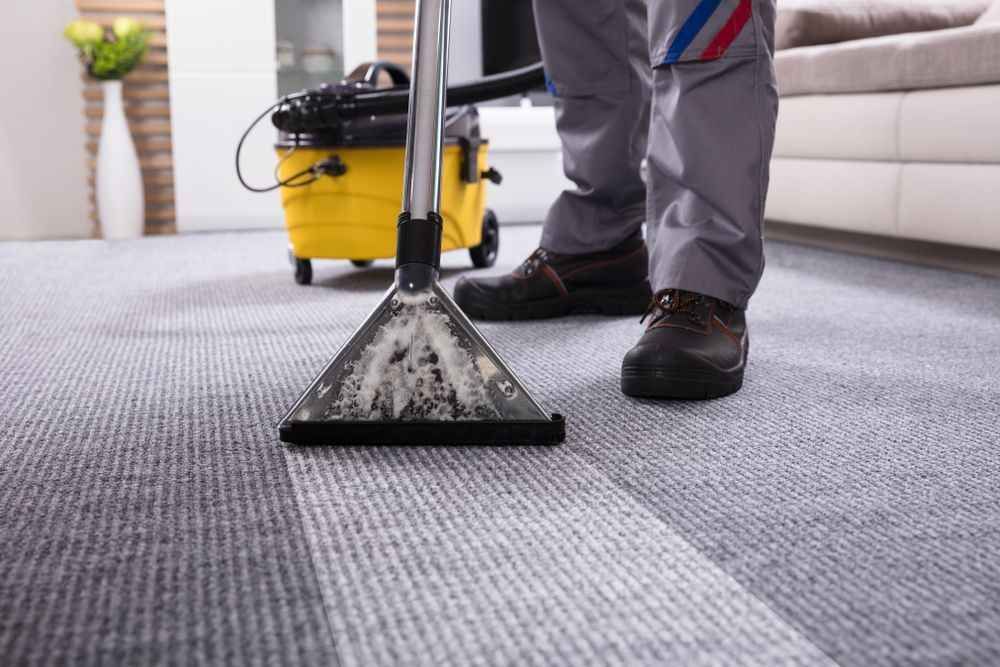DM scotch guard and carpet cleaning nsw