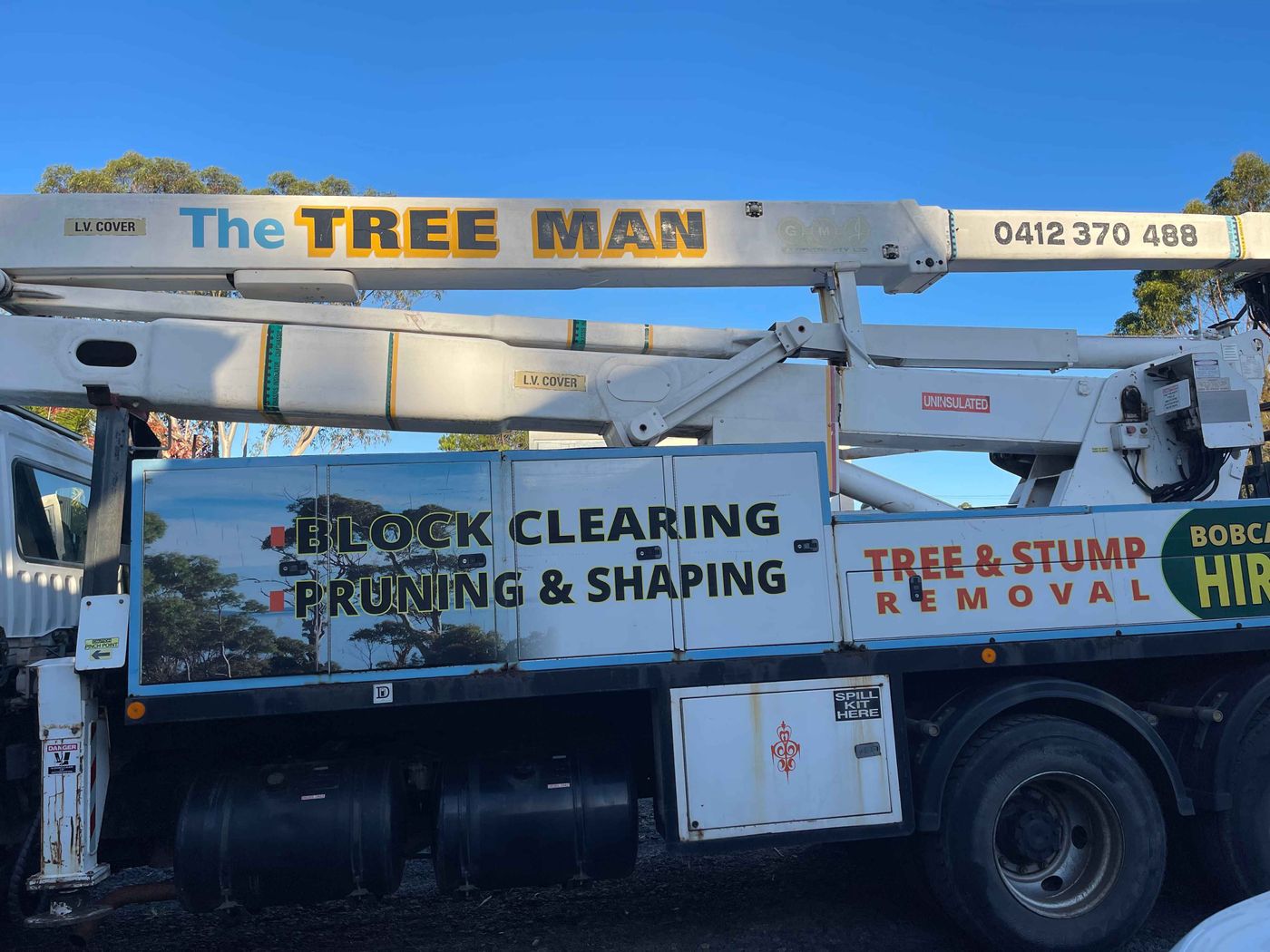 The Tree Man image