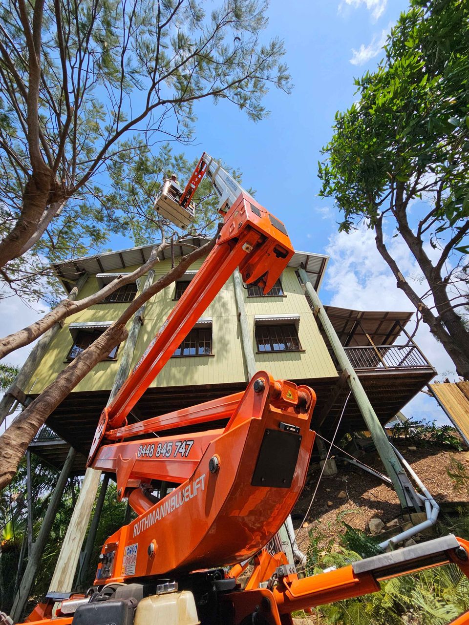 Tree Change NQ - Townsville Tree Care image