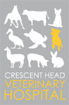 Crescent Head Veterinary Hospital logo