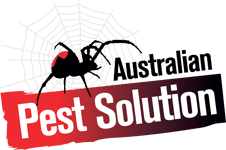 Australian Pest Solution logo
