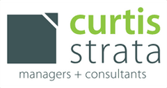 Curtis Strata logo