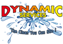 Dynamic Services logo