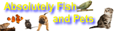 Absolutely Fish and Pets logo