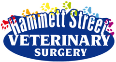 Hammett Street Veterinary Surgery logo
