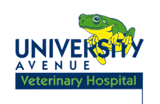 University Avenue Veterinary Hospital logo