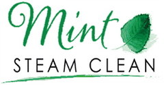 Mint Steam Clean logo