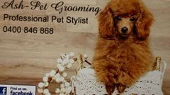 Ash-Pet Grooming logo