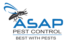 ASAP Pest Control logo