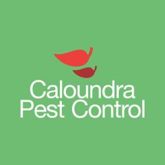 Caloundra Pest Control logo