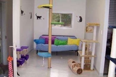 Carlyn Park Cattery gallery image 3