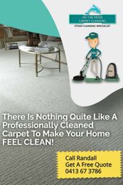 On The Move Carpet Cleaning gallery image 4