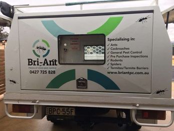 Bri-Ant Pest Control gallery image 1