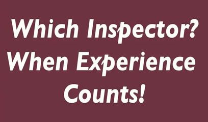 Professional Inspectors gallery image 3