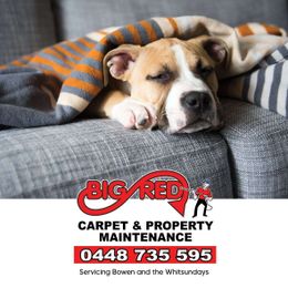 Big Red Carpet & Property Maintenance gallery image 1