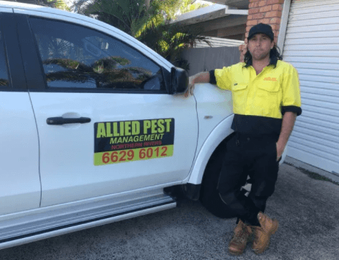 Allied Pest Management Northern Rivers gallery image 1