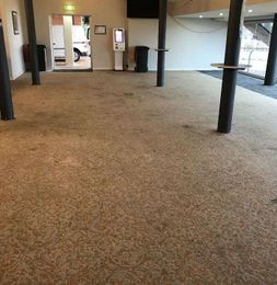 Clean Coast Carpet Cleaning gallery image 11