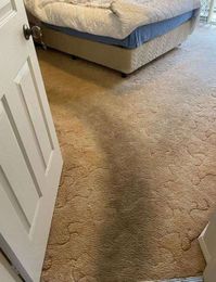 Clean Coast Carpet Cleaning gallery image 8