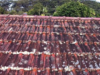 Coffs Coast Roof Tiling gallery image 19