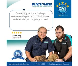 Peace of Mind Termite & Pest Management gallery image 3
