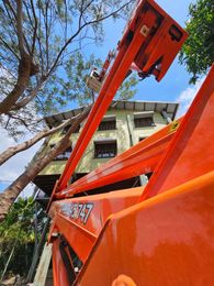 Tree Change NQ - Townsville Tree Care gallery image 3