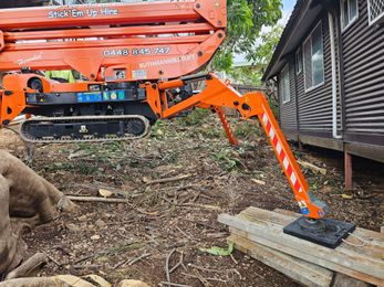 Tree Change NQ - Townsville Tree Care gallery image 2