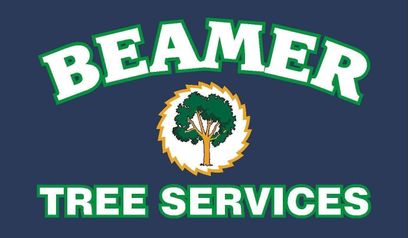 Beamer Tree Services gallery image 1