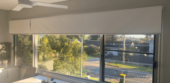Looking for a high-quality Blockout Roller Blind?