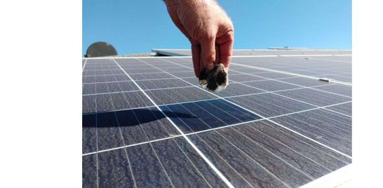 When was the last time you had your solar panels professionally cleaned 