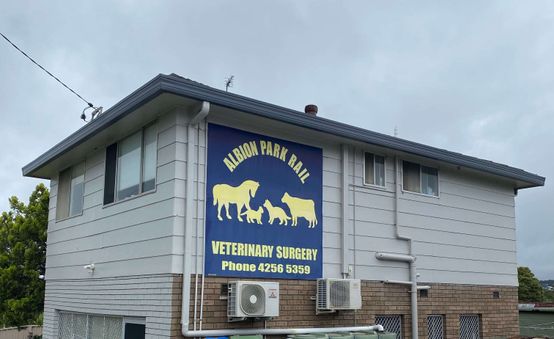 Albion Park Rail Veterinary Clinic gallery image 2