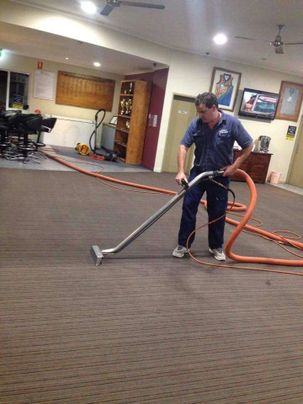 A1 Budget Carpet Cleaners & Pest Control gallery image 4