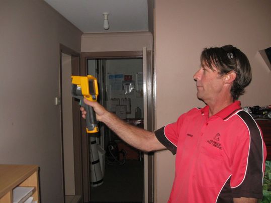 Advanced Pest Control Nelson Bay gallery image 4