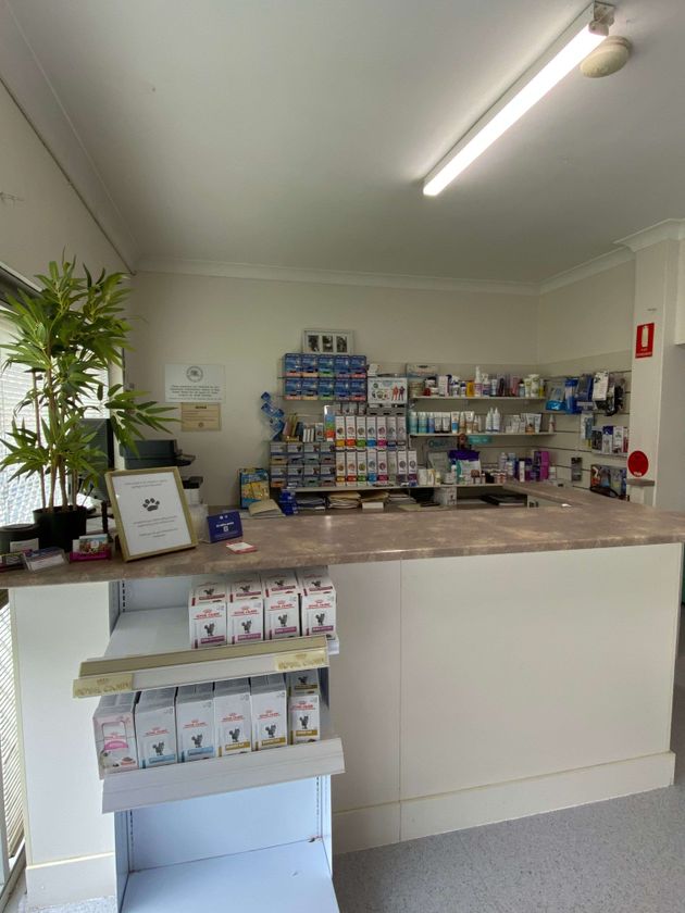 Albion Park Rail Veterinary Clinic gallery image 1