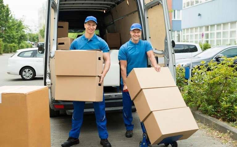 Specialist Removals QLD gallery image 15