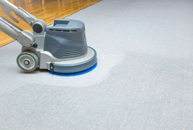 Gava Professional Carpet Cleaning & Pest Control featured image